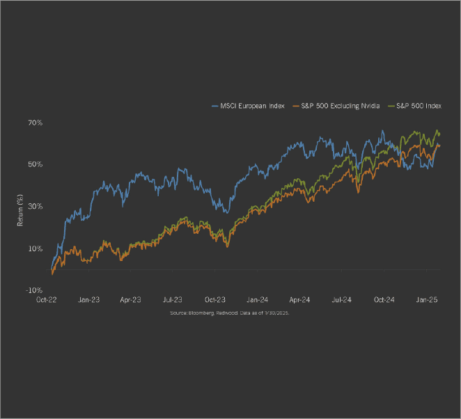The Perilous Power of One Stock