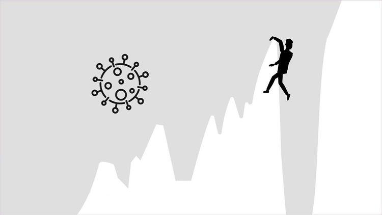 Financial Insights & Videos | Redwood Investment Management